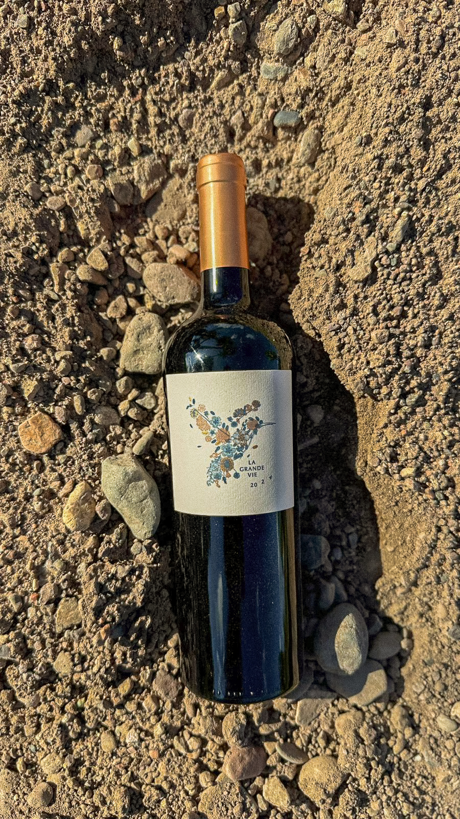 La Grande Vie Malbec Joven